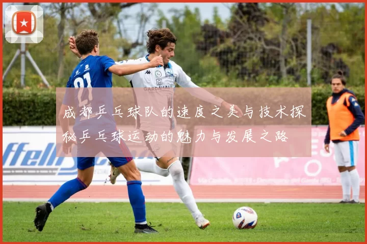 成都乒乓球队的速度之美与技术探秘乒乓球运动的魅力与发展之路