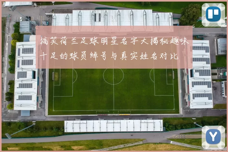 搞笑荷兰足球明星名字大揭秘趣味十足的球员绰号与真实姓名对比
