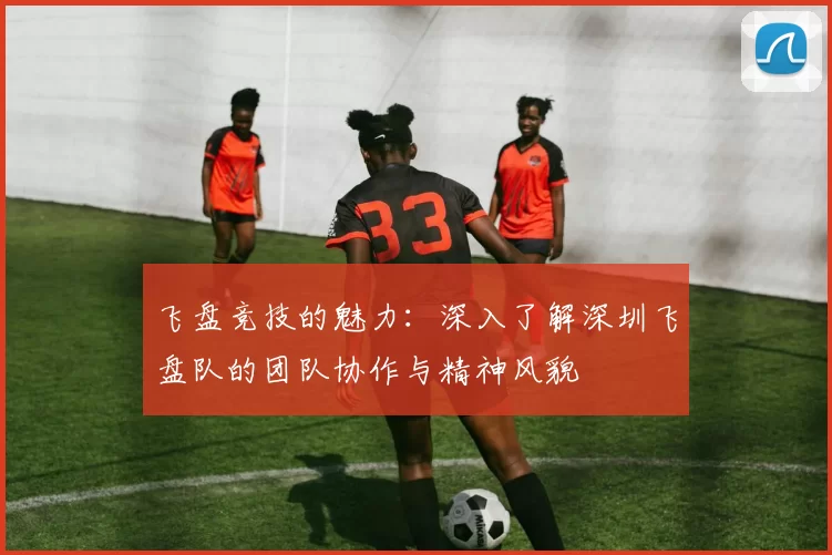 飞盘竞技的魅力：深入了解深圳飞盘队的团队协作与精神风貌